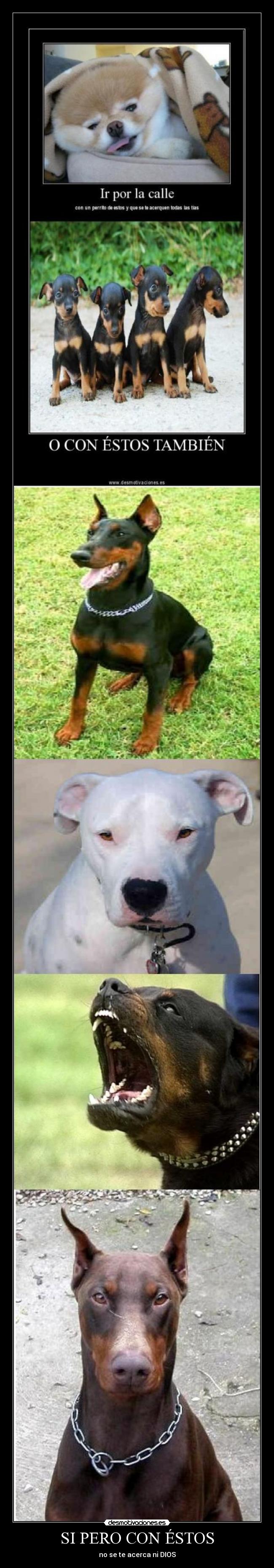 SI PERO CON ÉSTOS -