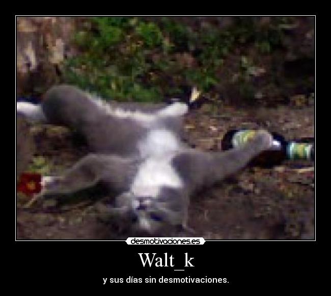 Walt_k - y sus días sin desmotivaciones.