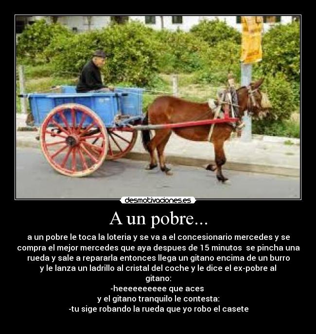 carteles burros desmotivaciones