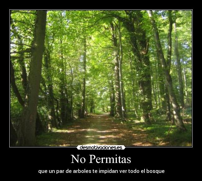 No Permitas - que un par de arboles te impidan ver todo el bosque