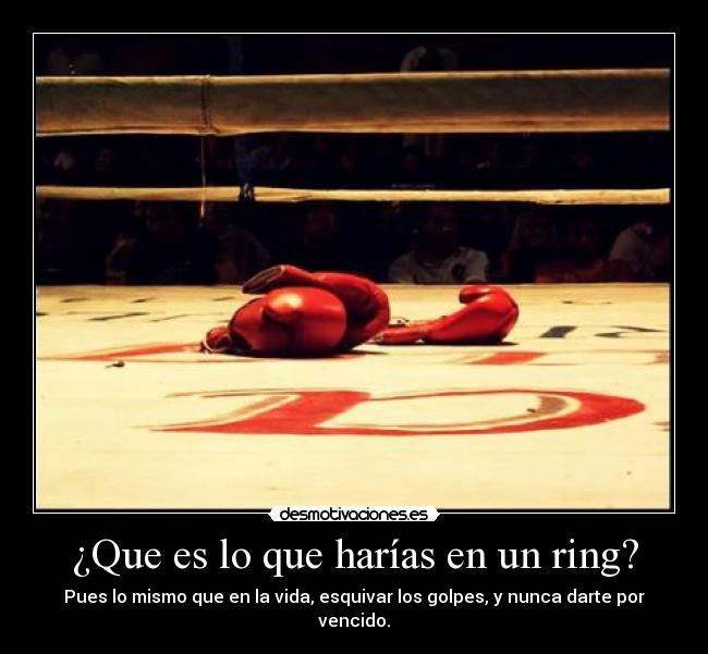 ¿Que es lo que harías en un ring? - 