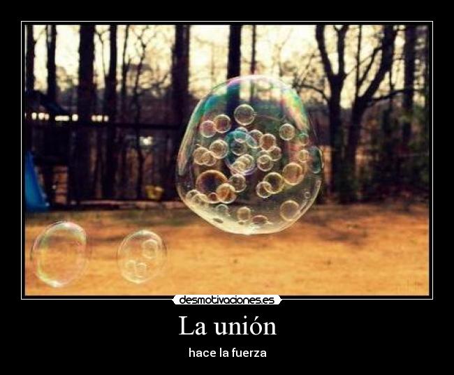 La unión - 