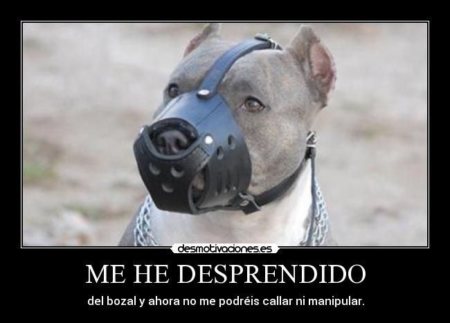 ME HE DESPRENDIDO -
