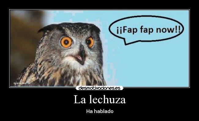 La lechuza - Ha hablado