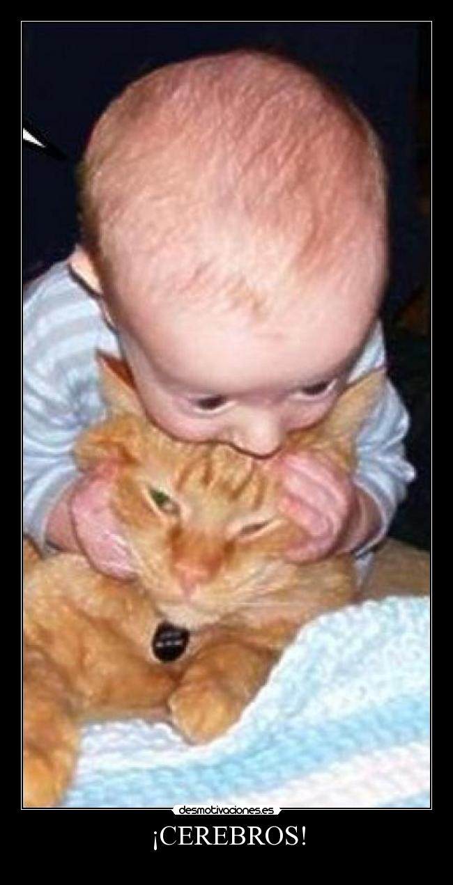 ¡CEREBROS! -