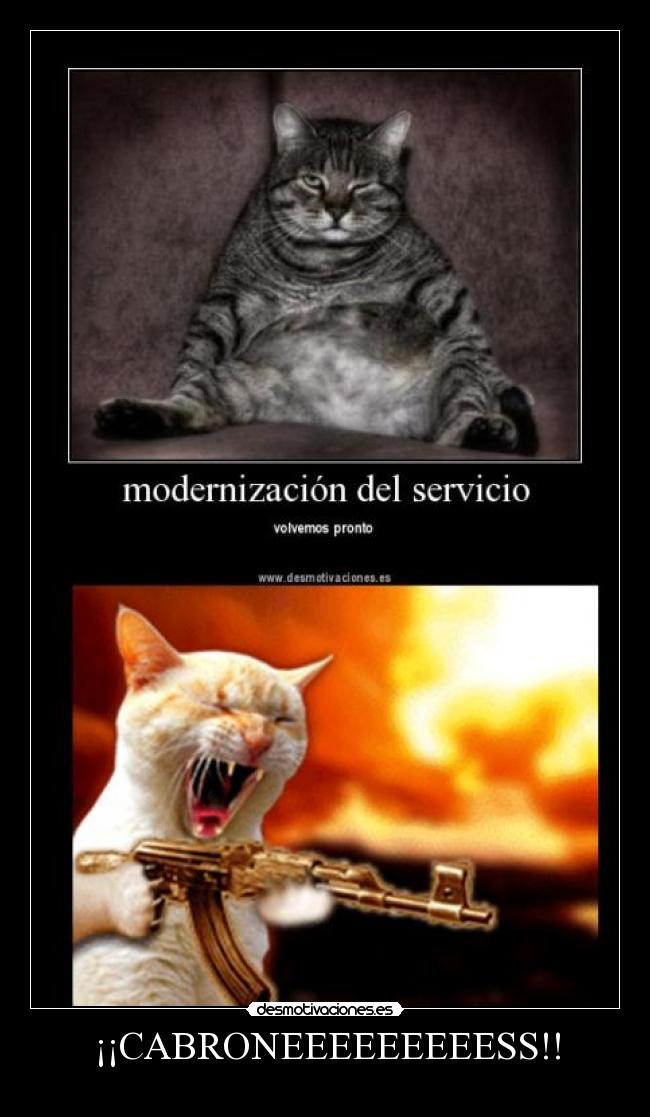 carteles gato desmotivaciones