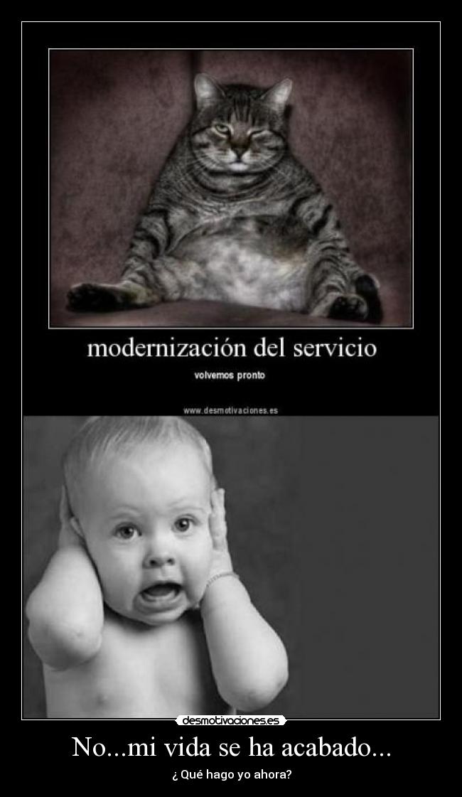 No...mi vida se ha acabado... - ¿ Qué hago yo ahora?