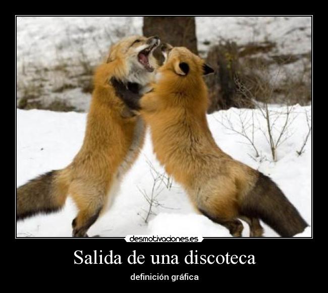 Salida de una discoteca - definición gráfica