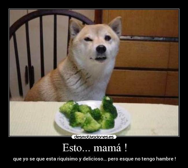 Esto... mamá ! - 