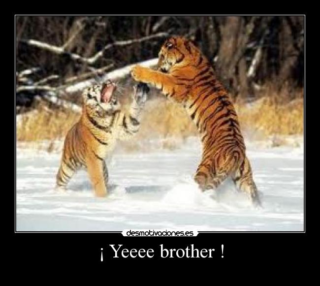 ¡ Yeeee brother ! - 