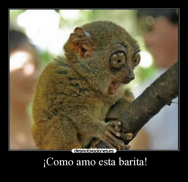 ¡Como amo esta barita! -