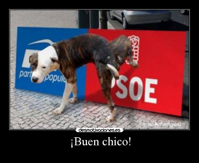 ¡Buen chico! -