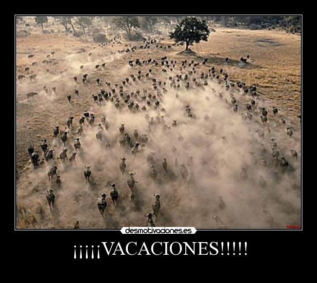 ¡¡¡¡¡VACACIONES!!!!! - 