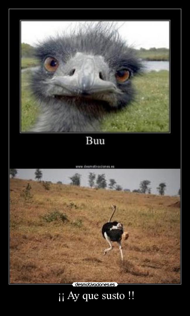 ¡¡ Ay que susto !! -