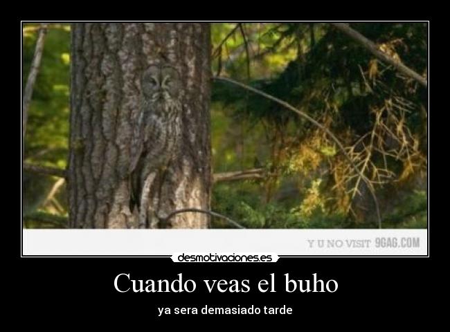 Cuando veas el buho - ya sera demasiado tarde