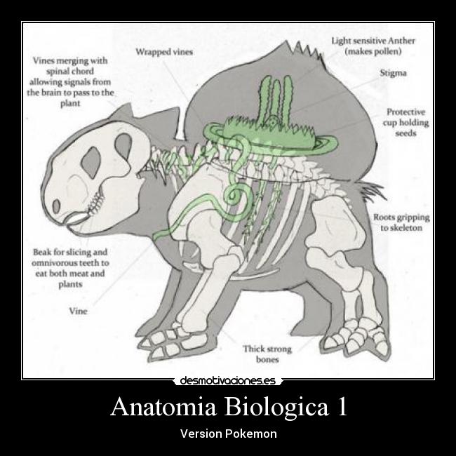 Anatomia Biologica 1 -