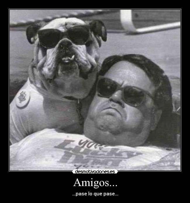 Amigos... - 