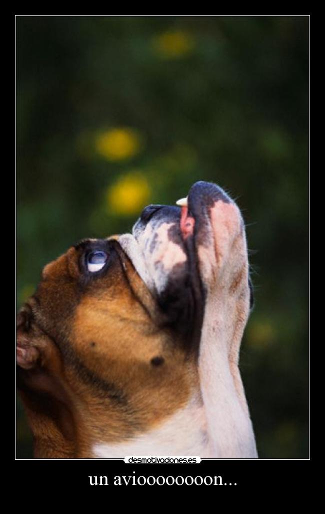 un avioooooooon... -