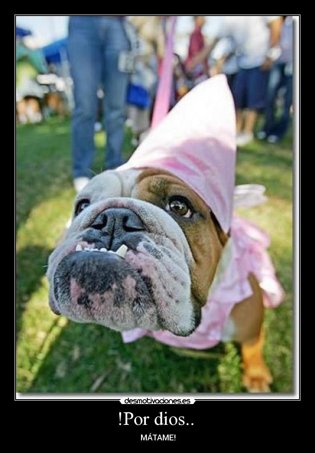 !Por dios.. - MÁTAME!
