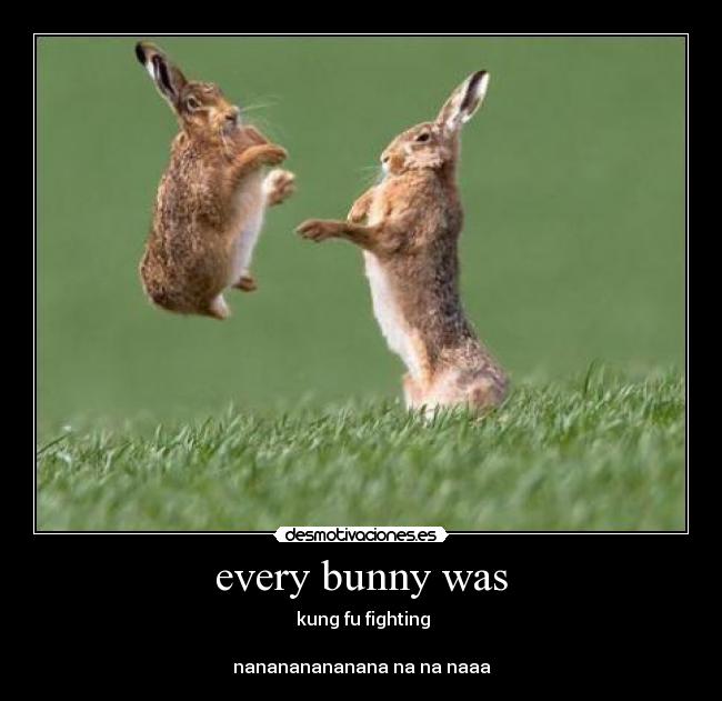 every bunny was -