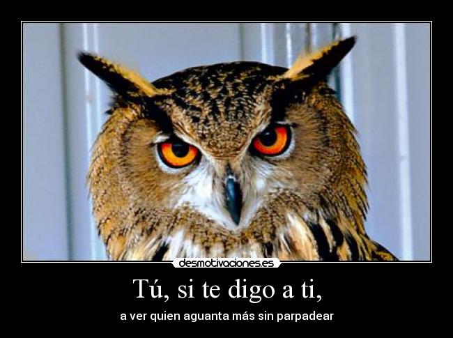 Tú, si te digo a ti, - a ver quien aguanta más sin parpadear