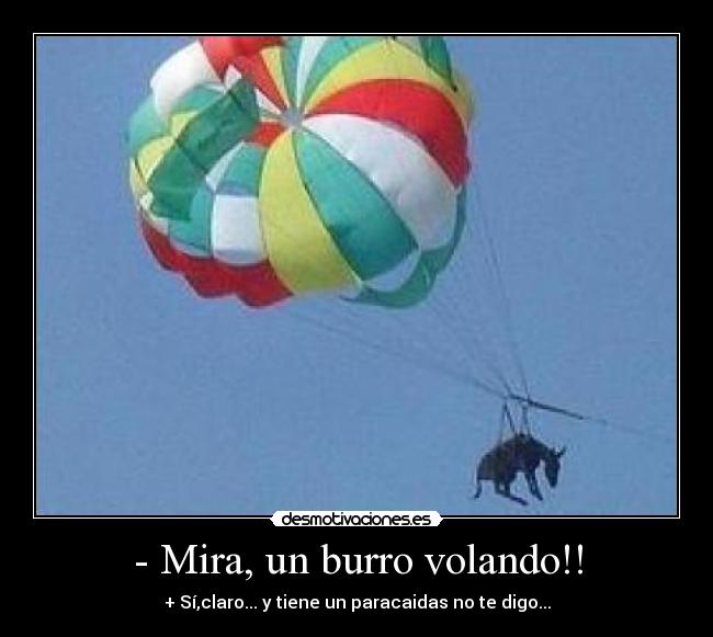 - Mira, un burro volando!! - 