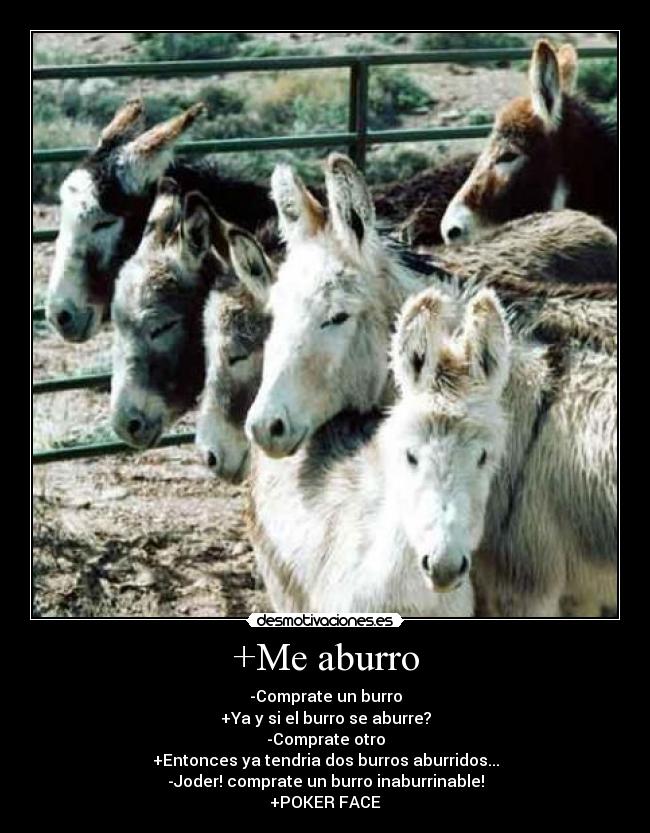+Me aburro - -Comprate un burro
+Ya y si el burro se aburre?
-Comprate otro
+Entonces ya tendria dos burros aburridos...
-Joder! comprate un burro inaburrinable!
+POKER FACE