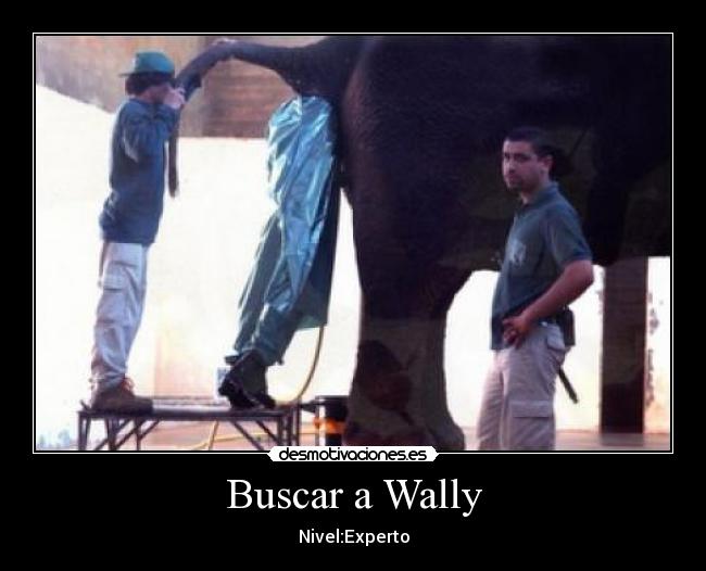Buscar a Wally - Nivel:Experto