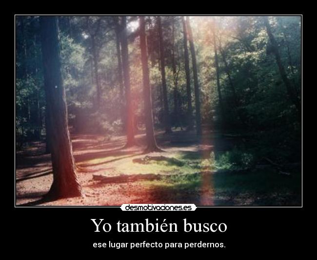 Yo también busco - 