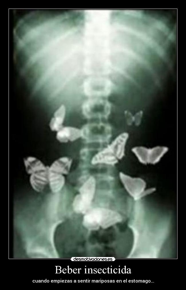 Beber insecticida - cuando empiezas a sentir mariposas en el estomago...
