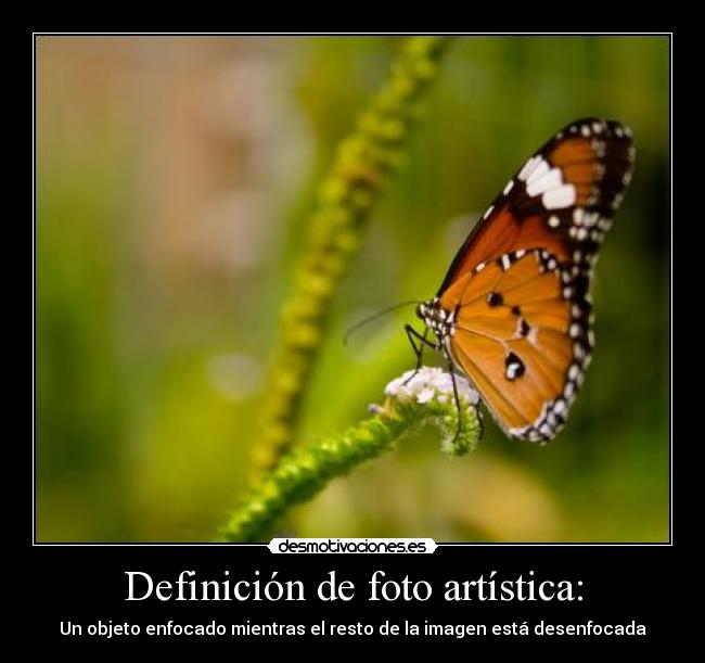 carteles foto artistica definicion desmotivaciones