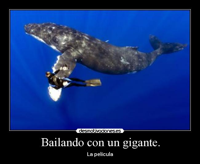 Bailando con un gigante. - 