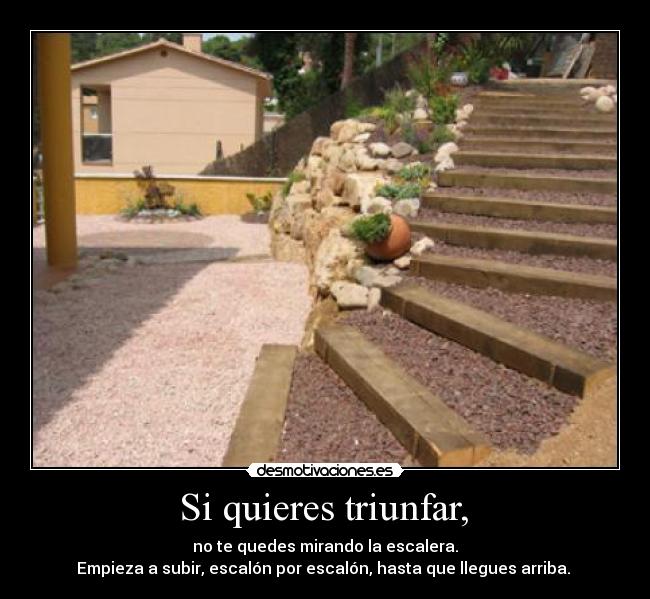 Si quieres triunfar, -