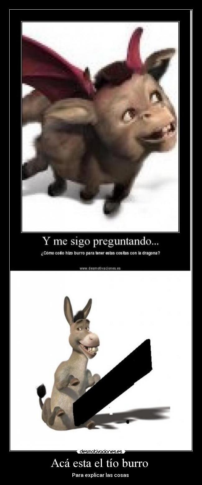 Acá esta el tío burro -