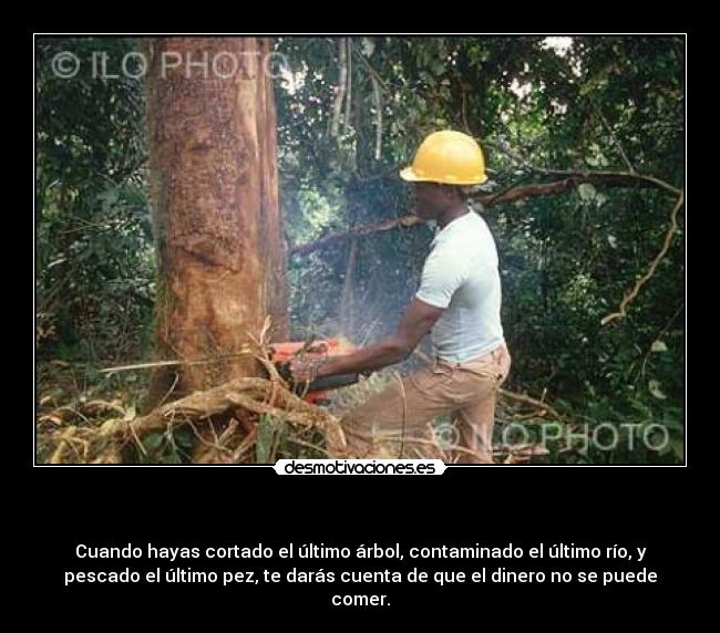 - Cuando hayas cortado el último árbol, contaminado el último río, y
pescado el último pez, te darás cuenta de que el dinero no se puede
comer.