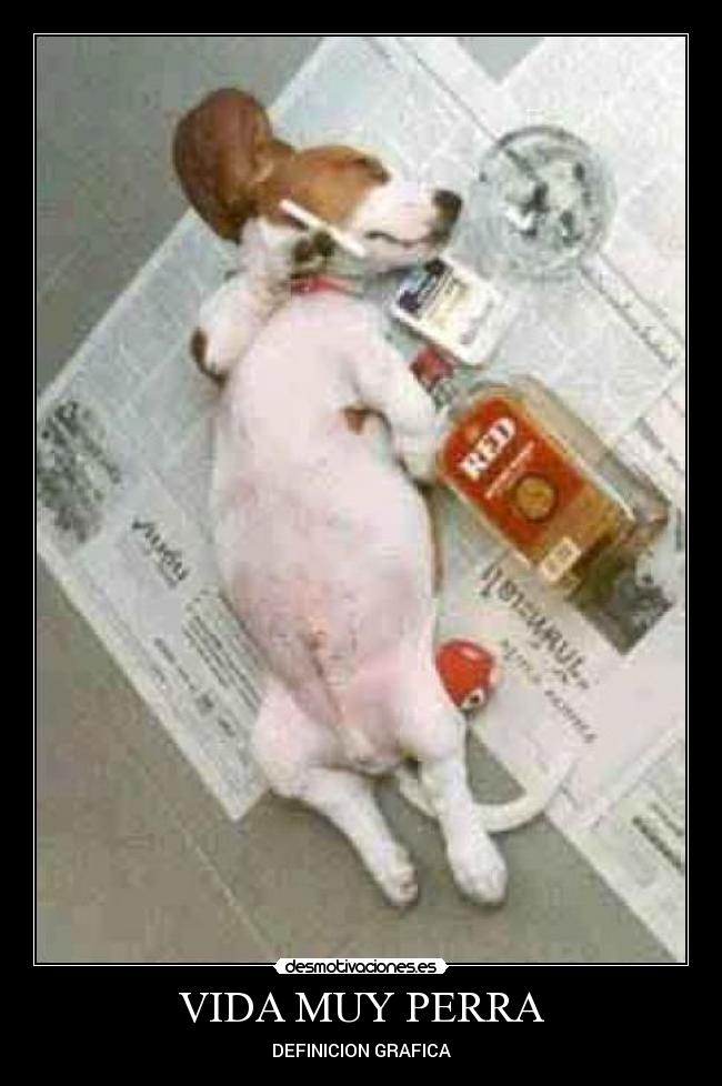 VIDA MUY PERRA - DEFINICION GRAFICA