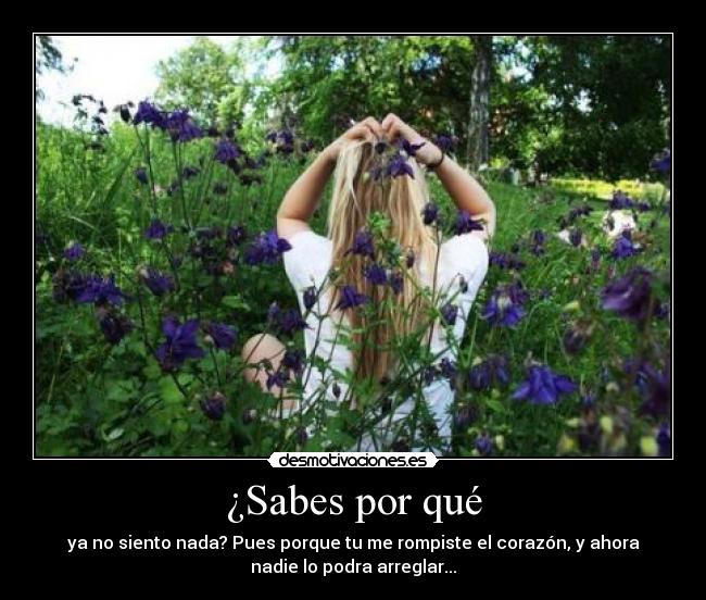 ¿Sabes por qué - 