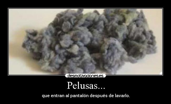 Pelusas... - que entran al pantalón después de lavarlo.