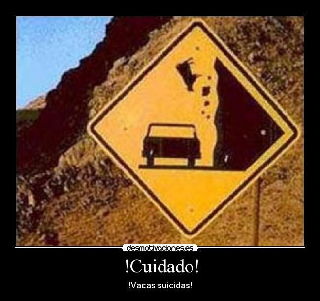 !Cuidado! - !Vacas suicidas!