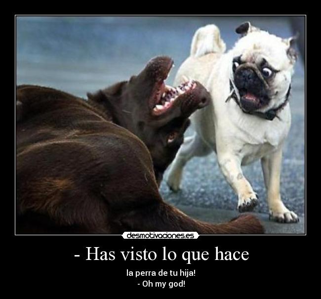 carteles perros desmotivaciones