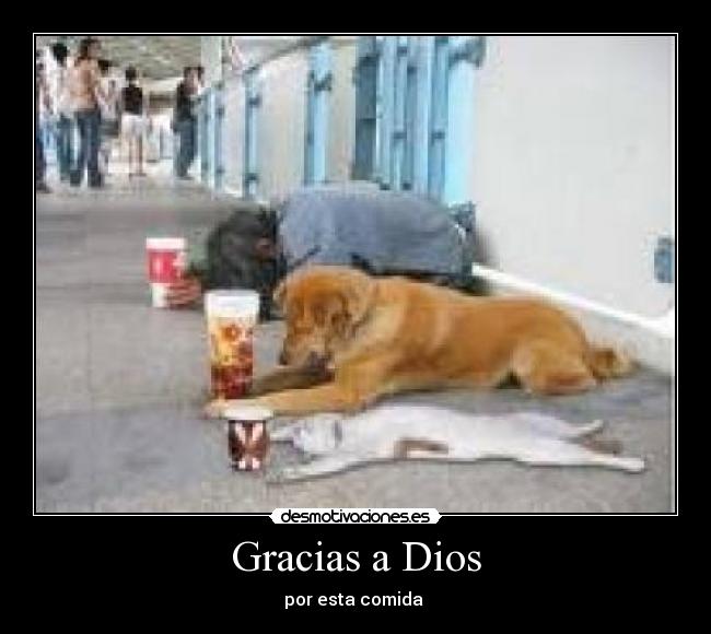 Gracias a Dios - 