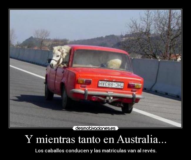 Y mientras tanto en Australia... - 