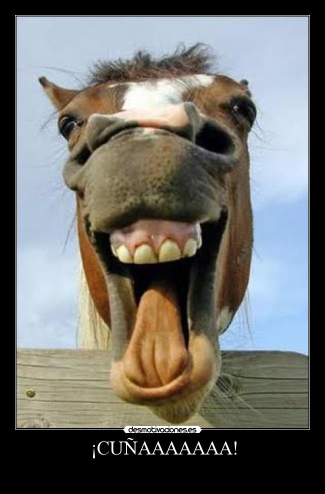 carteles caballos desmotivaciones