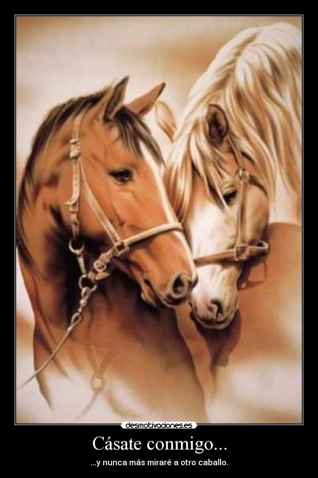 Cásate conmigo... - ...y nunca más miraré a otro caballo.