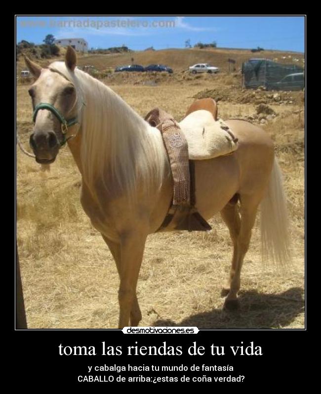 toma las riendas de tu vida - 