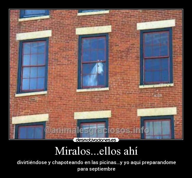 Miralos...ellos ahí -