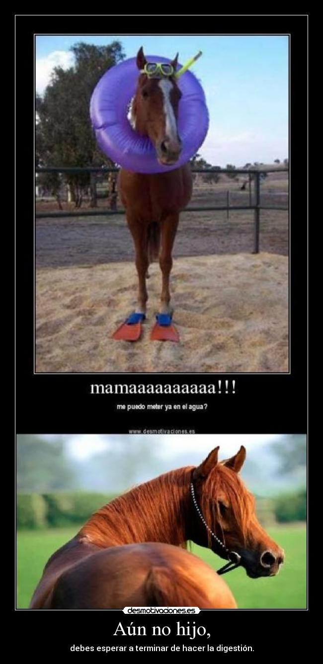 carteles aun hijo desmotivaciones