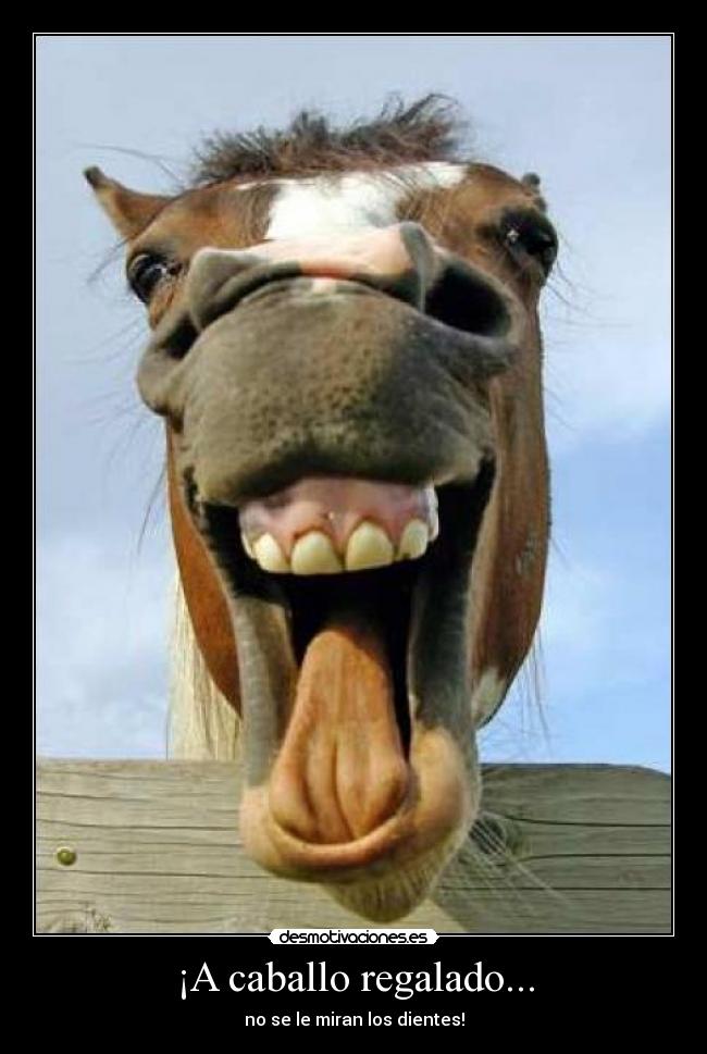 ¡A caballo regalado... - no se le miran los dientes!