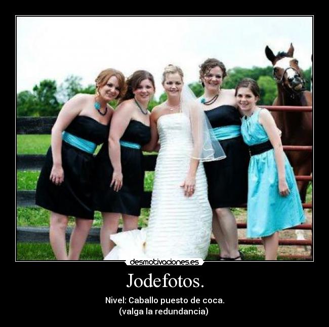 Jodefotos. - Nivel: Caballo puesto de coca.
(valga la redundancia)