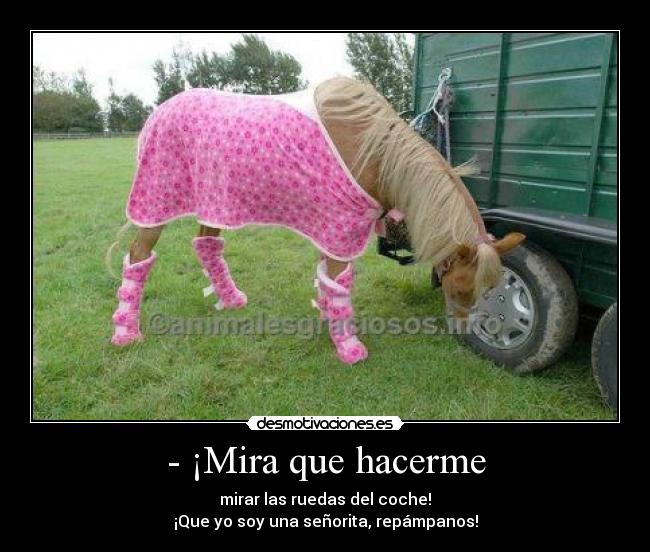 - ¡Mira que hacerme - mirar las ruedas del coche!
¡Que yo soy una señorita, repámpanos!